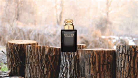 gucci oud wood|Gucci oud price.